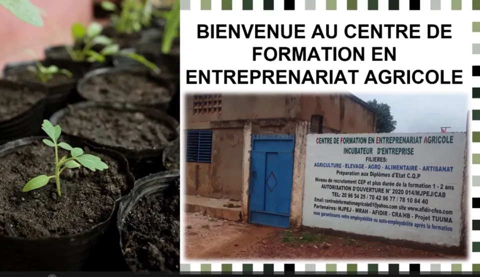 Découvrez le CFEA, votre tremplin vers une carrière réussie dans l'agriculture et l'entrepreneuriat !