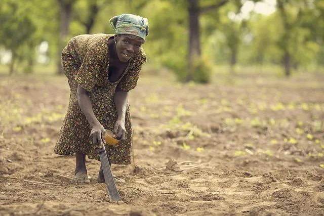 L’Impact de l’Entrepreneuriat Agricole sur le Développement Communautaire