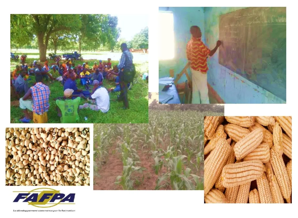 Formation en entreprenariat agricole à Sian : un rapport concluant