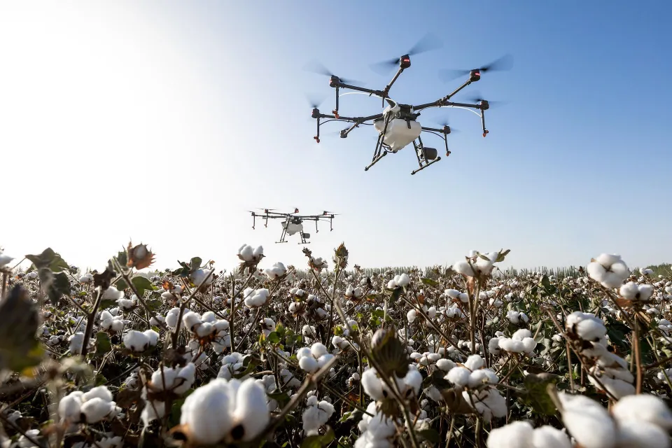 Comment encourager la participation des jeunes dans le secteur agricole et agroalimentaire au Burkina Faso