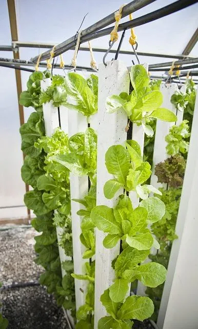 Nourrir une Planète: Défis et Solutions dans l'Agroalimentaire Contemporain