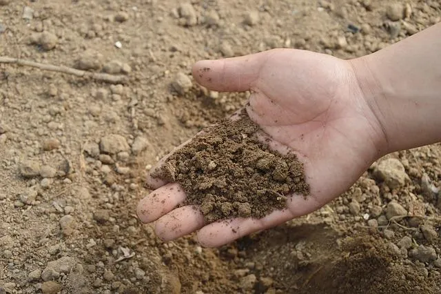 Fertilisation Minérale Responsable