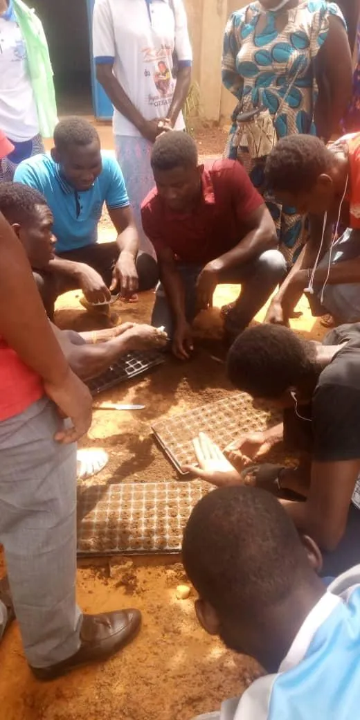 Formation Pratique sur la Mise en Place d'une Pépinière dans les Alvéoles pour la Culture Hors Sol au CFEA