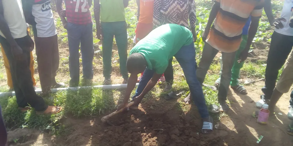 formation en technique maraichère