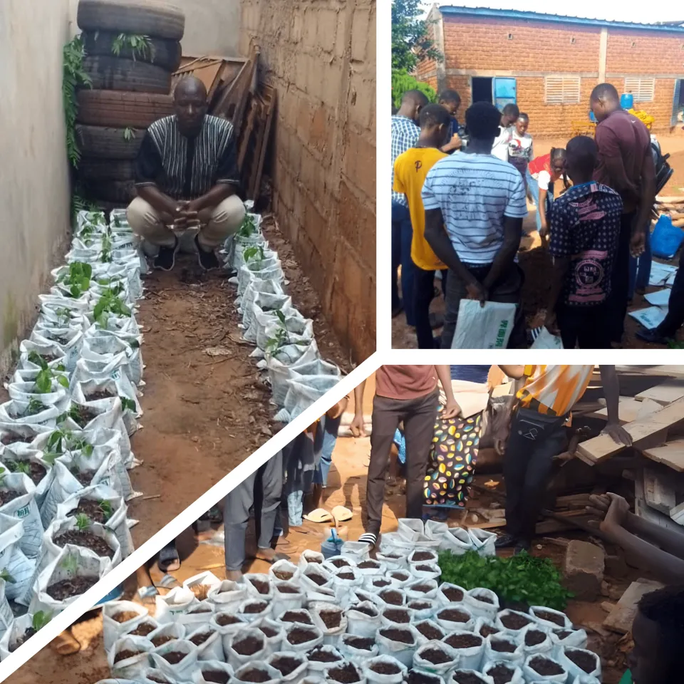 Formation en agriculture hors-sol au profit des PDI