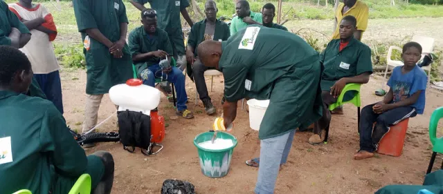 Formation en protection phytosanitaire des manguiers et anacardes et les techniques de récolte des mangues et ramassage des noix d’anacardes. — photo 3