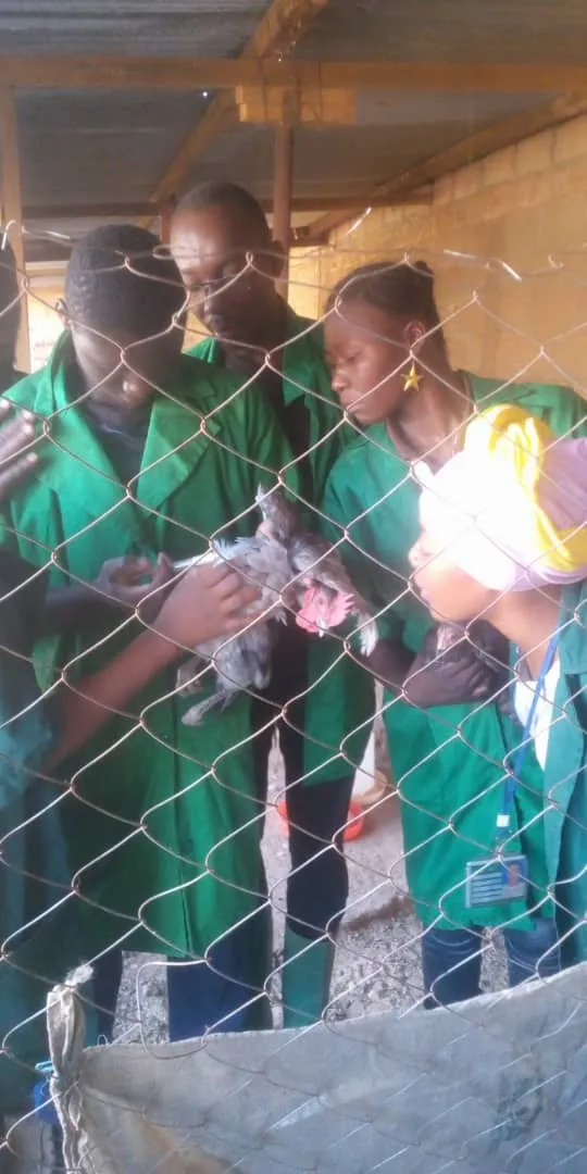 Formation pratique de vaccination des volailles. — photo 2
