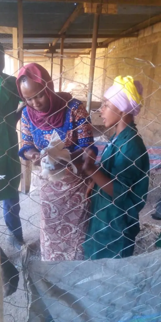 Formation pratique de vaccination des volailles. — photo 3