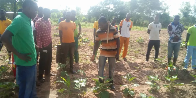 formation en technique maraichère