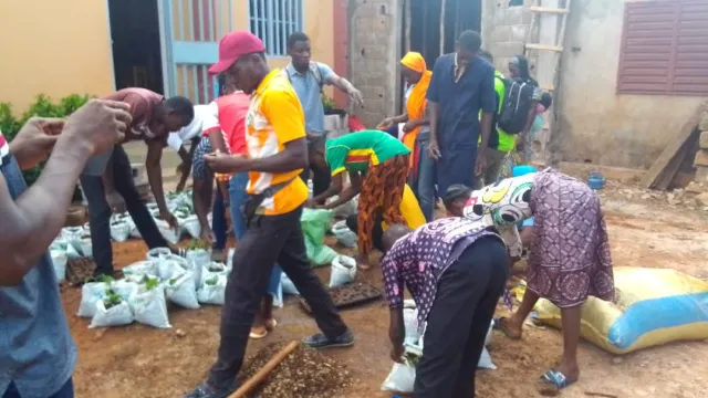 Formation en agriculture hors-sol au profit des PDI — photo 2