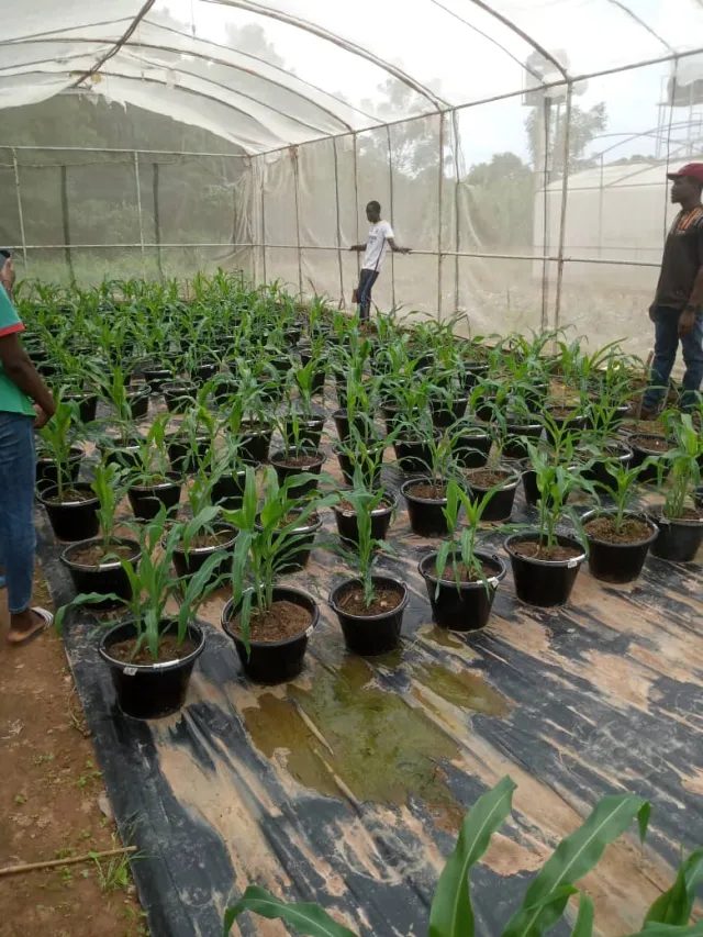 Visite de l'INERA à Farakoba : Une immersion inspirante pour nos apprenants — photo 2