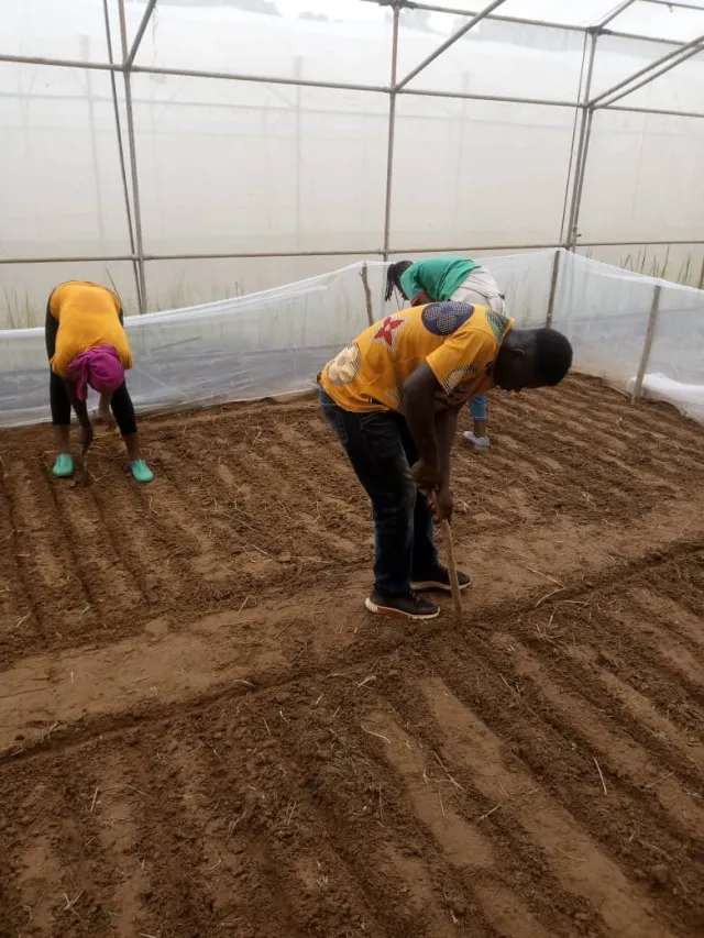 Visite de l'INERA à Farakoba : Une immersion inspirante pour nos apprenants — photo 8